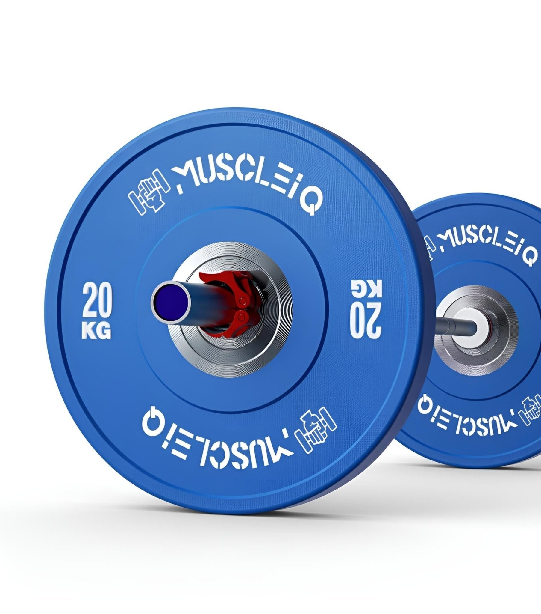 Competition Bumper Plates for Olympic Training | Elivon Gym - elivongym