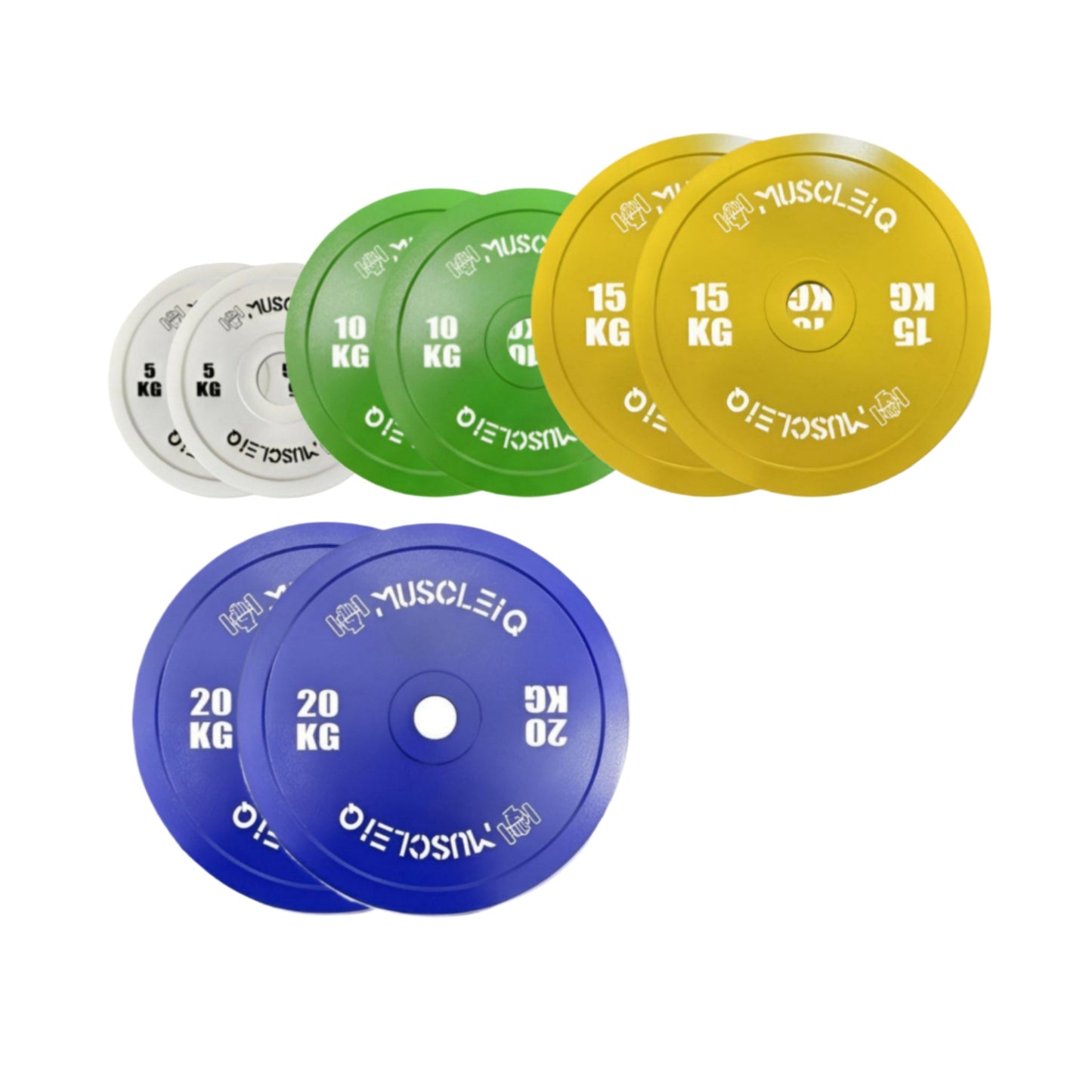 Olympic Bumper Plates for Strength Training | Elivon Gym - elivongym